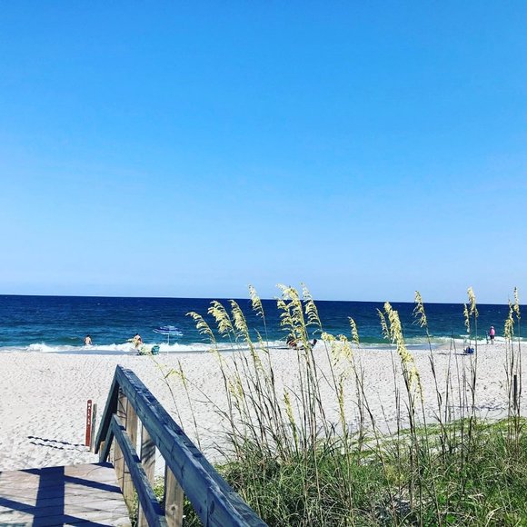 Meet your Posher, Amy - Picture 3 of 10